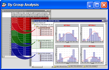  By Group Analysis
