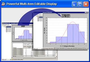 Powerful Mult-item Editable Display